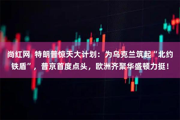 尚红网  特朗普惊天大计划：为乌克兰筑起“北约铁盾”，普京首度点头，欧洲齐聚华盛顿力挺！