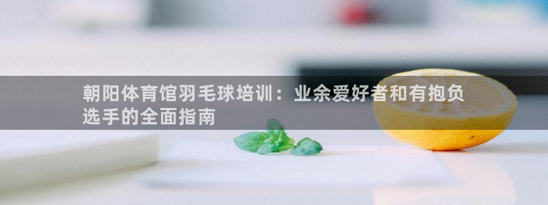极悦娱乐创始人背景故事简介：朝阳体育馆羽毛球培训：业