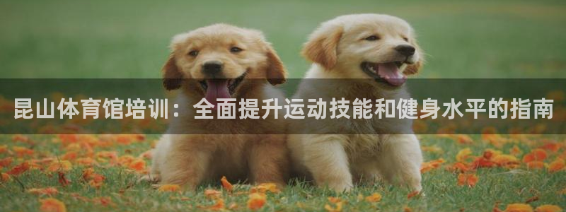极悦平台官网登录入口网址是什么：昆山体育馆培训：全面