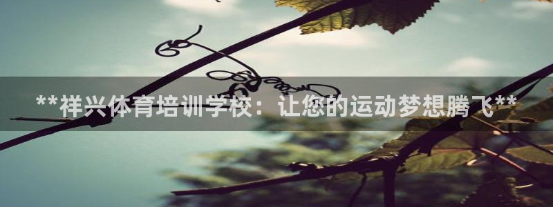 极悦娱乐创始人背景故事介绍：**祥兴体育培训学校：让