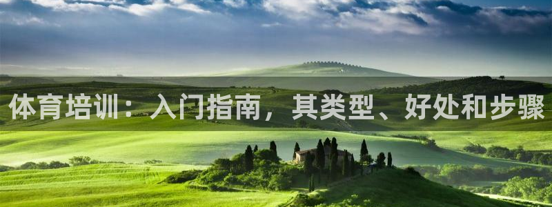 极悦平台好7.0.2.4怎么样：体育培训：入门指南，