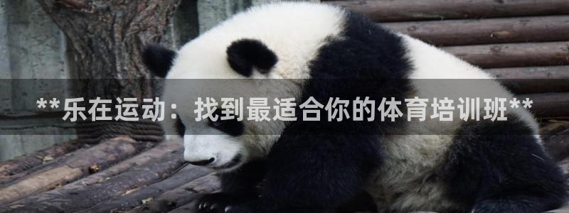 极悦平台注册和登录页面在哪：**乐在运动：找到最适合