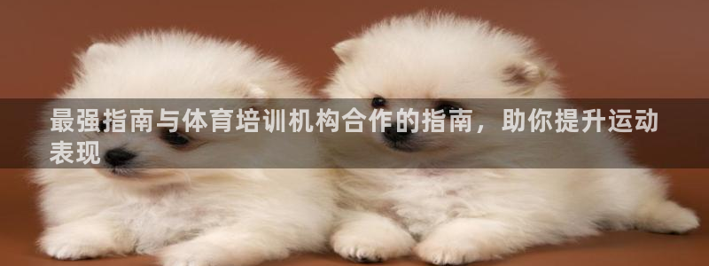 极悦娱乐官网客服联系方式：最强指南与体育培训机构合作