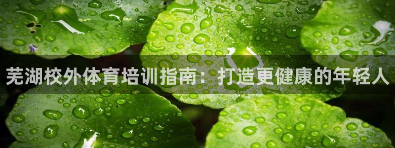 极悦平台登录方式怎么改：芜湖校外体育培训指南：打造更
