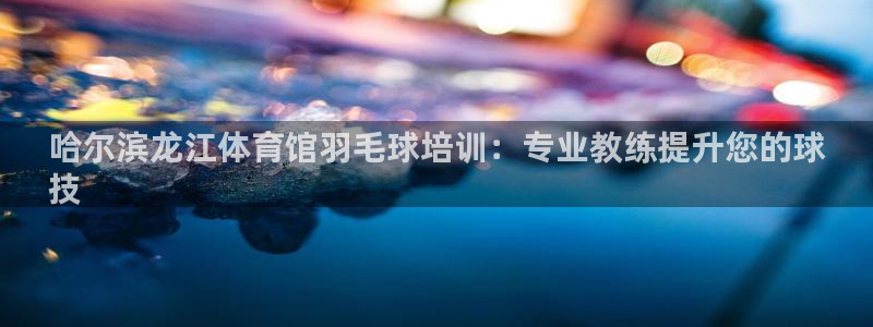 极悦娱乐：哈尔滨龙江体育馆羽毛球培训：专业教练提升您