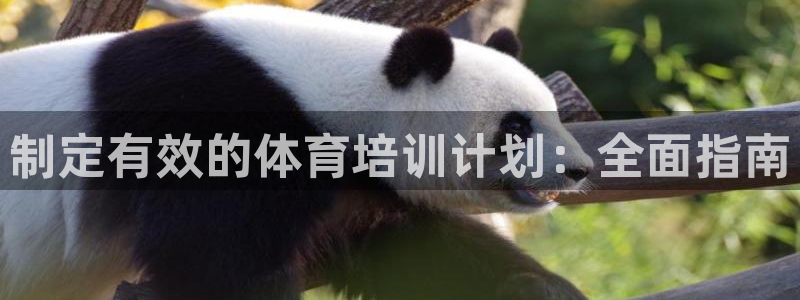 极悦娱乐官网最新版本更新内容视频：制定有效的体育培训