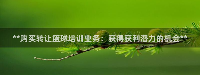 极悦官网的登录方法有哪些：**购买转让篮球培训业务：