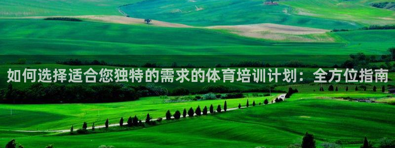 极悦平台客服团队：如何选择适合您独特的需求的体育培训