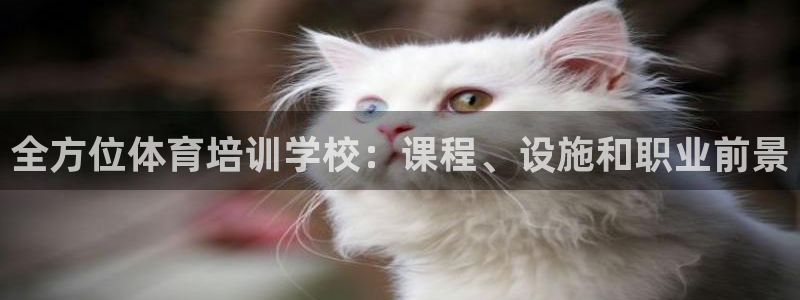 极悦娱乐贴吧百度：全方位体育培训学校：课程、设施和职