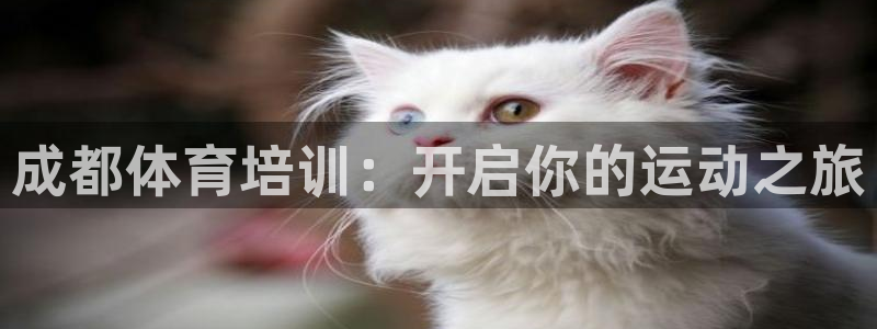 极悦平台注册失败如何解决问题：成都体育培训：开启你的