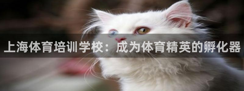 极悦平台官方网址：上海体育培训学校：成为体育精英的孵