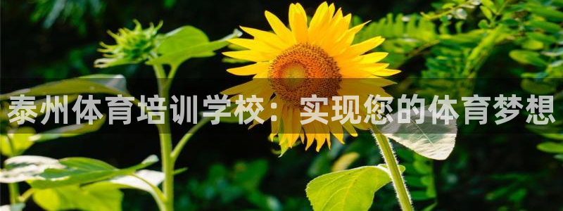 极悦娱乐代理怎么样可靠吗：泰州体育培训学校：实现您的