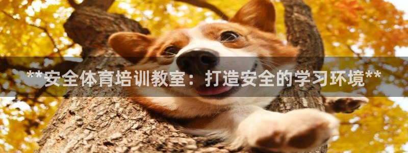 极悦娱乐负责人电话：**安全体育培训教室：打造安全的