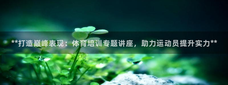 极悦平台登录7.0.2.4手机版下载：**打造巅峰表