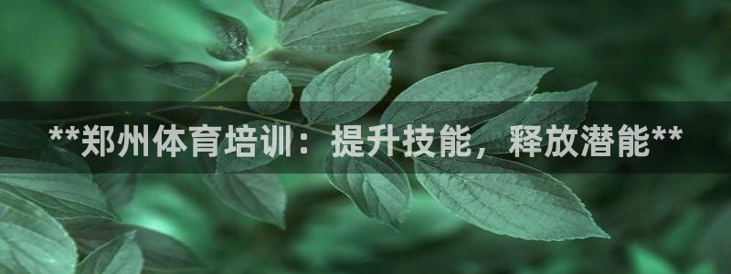 极悦平台网址皮皮虾下载：**郑州体育培训：提升技能，