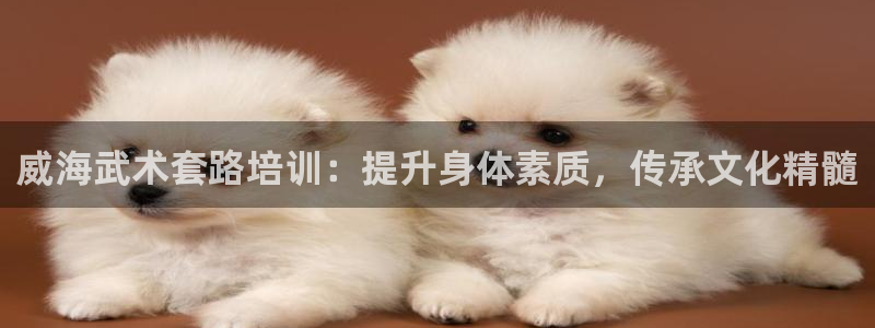 极悦娱乐登录拒绝访问怎么办理：威海武术套路培训：提升