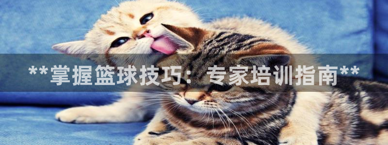 极悦平台注册流程详解图：**掌握篮球技巧：专家培训指