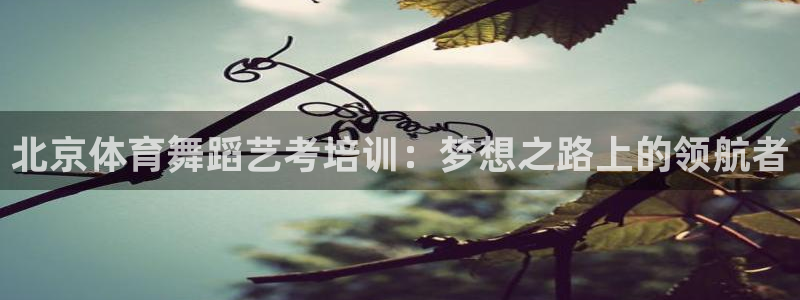 极悦娱乐官网下载：北京体育舞蹈艺考培训：梦想之路上的