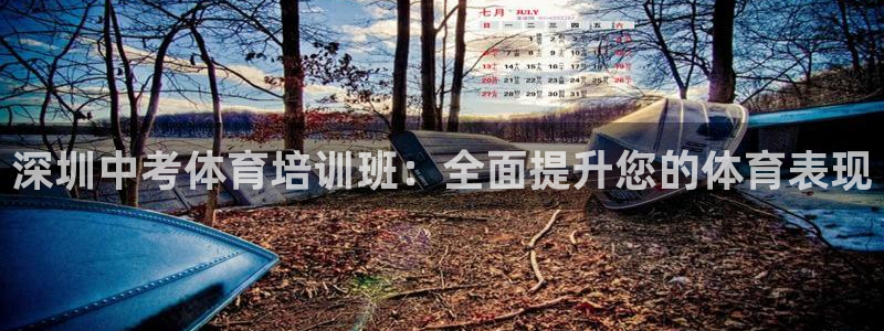 无锡极悦科技有限公司：深圳中考体育培训班：全面提升您