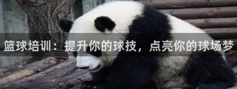 极悦娱乐官方网站下载：篮球培训：提升你的球技，点亮你