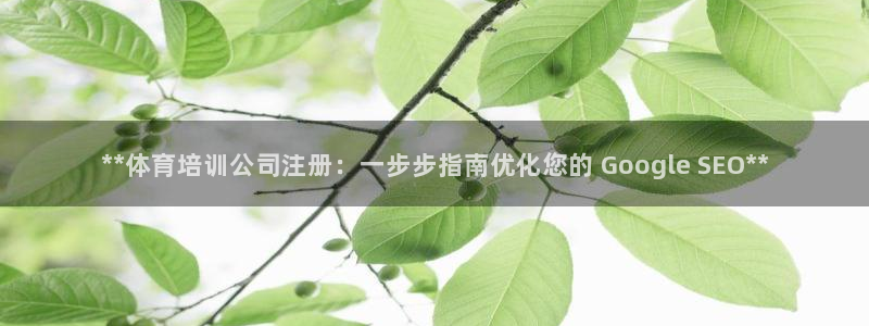 极悦平台注册官方网站下载安卓：**体育培训公司注册：
