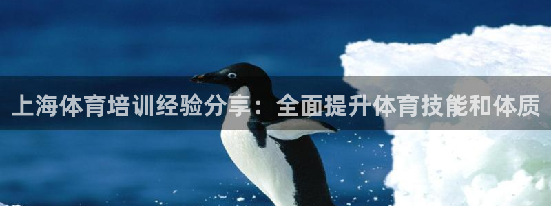 极悦娱乐是资金盘吗：上海体育培训经验分享：全面提升体