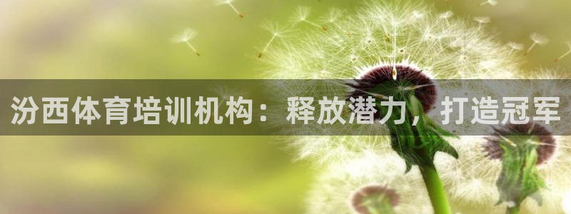 加盟极悦教育多少钱：汾西体育培训机构：释放潜力，打造