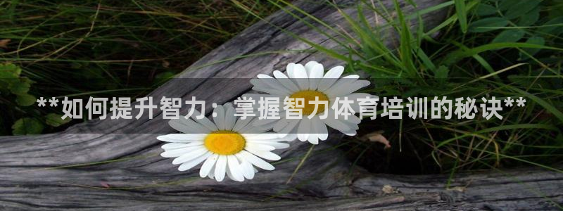 极悦平台与网易合作详情在哪：**如何提升智力：掌握智