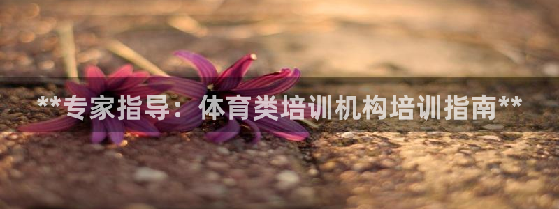 极悦平台官网入口登录：**专家指导：体育类培训机构培