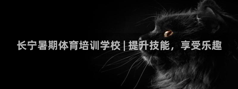 极悦娱乐负责人怎么样：长宁暑期体育培训学校 | 提升