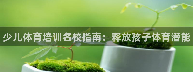 极悦平台使用教程