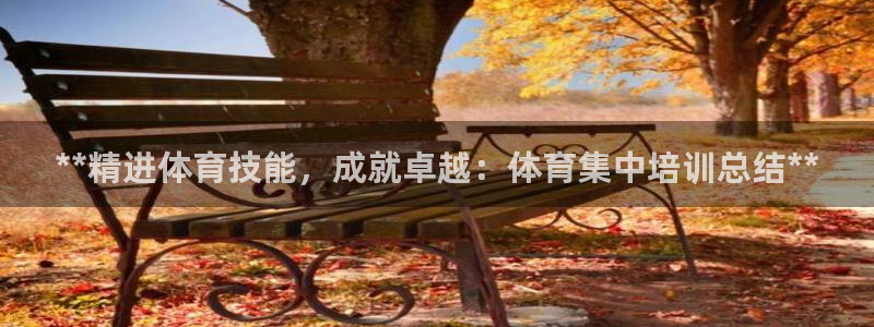 极悦平台是什么公司：**精进体育技能，成就卓越：体育