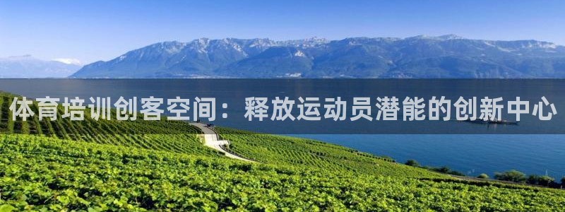 极悦平台代理怎么样啊：体育培训创客空间：释放运动员潜
