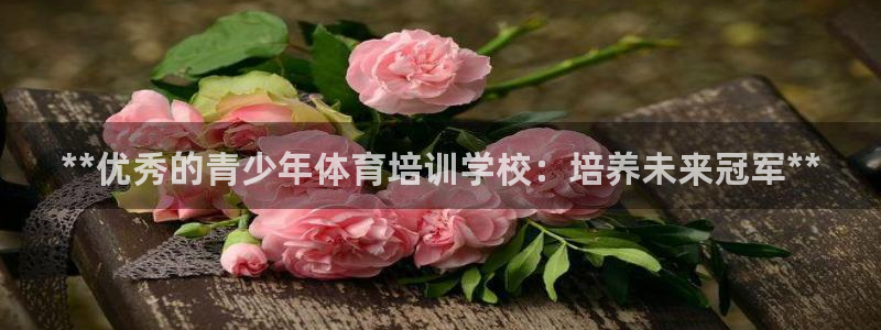 极悦娱乐官方网站下载：**优秀的青少年体育培训学校：