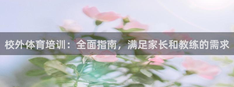 极悦平台注册官网网址：校外体育培训：全面指南，满足家