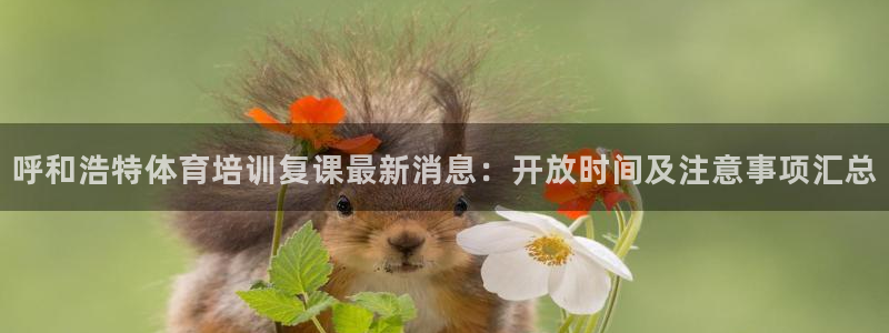 极悦平台用户反馈和反馈的区别：呼和浩特体育培训复课最