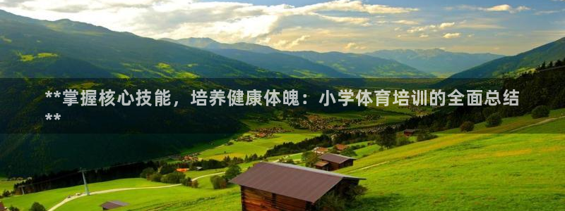 极悦平台用户评价与反馈：**掌握核心技能，培养健康体