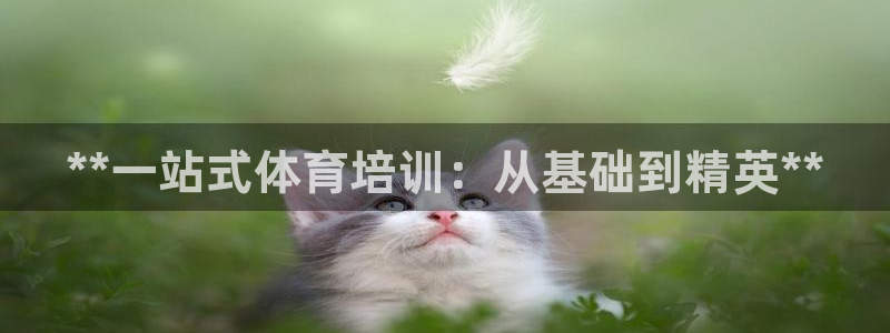 极悦平台注册官网入口：**一站式体育培训：从基础到精