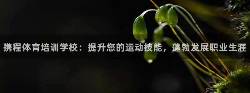 极悦平台官方网站入口链接下载：携程体育培训学校：提升