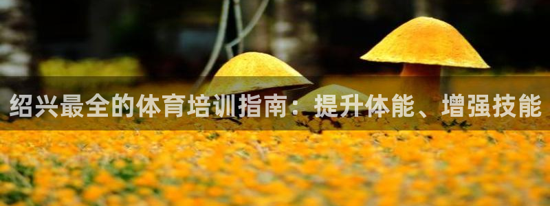 极悦官网下载最新版本更新内容视频：绍兴最全的体育培训