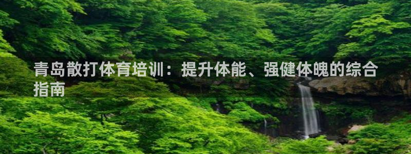 苏州极悦信息科技有限公司：青岛散打体育培训：提升体能