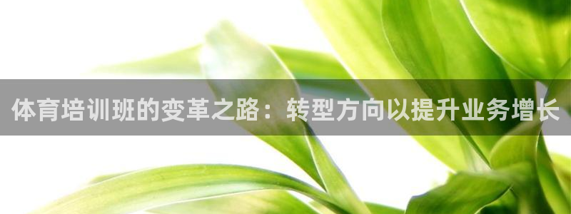 极悦平台代理怎么样：体育培训班的变革之路：转型方向以