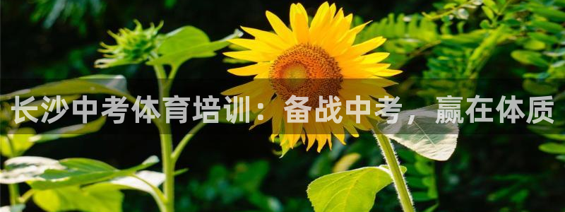 极悦平台家7O777：长沙中考体育培训：备战中考，赢