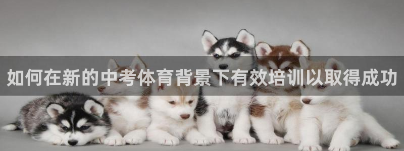 极悦平台和蓝狮平台区别大吗：如何在新的中考体育背景下