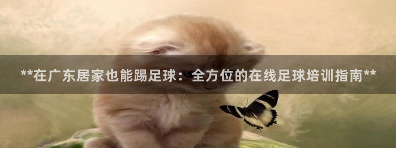极悦平台注册用户名格式不正确：**在广东居家也能踢足