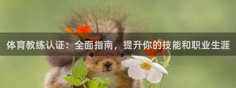 极悦娱乐股东结构：体育教练认证：全面指南，提升你的技