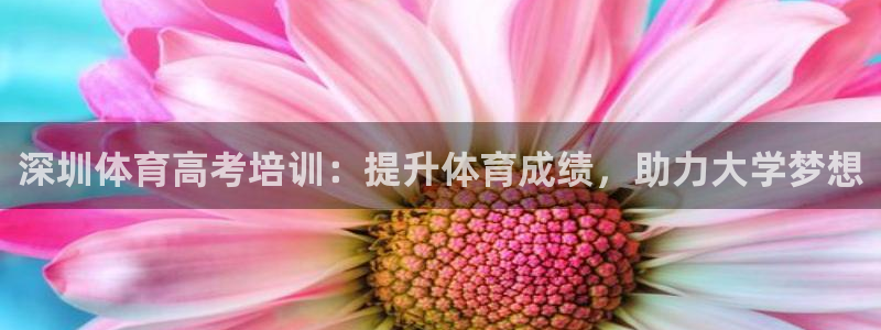 极悦平台app安全吗：深圳体育高考培训：提升体育成绩