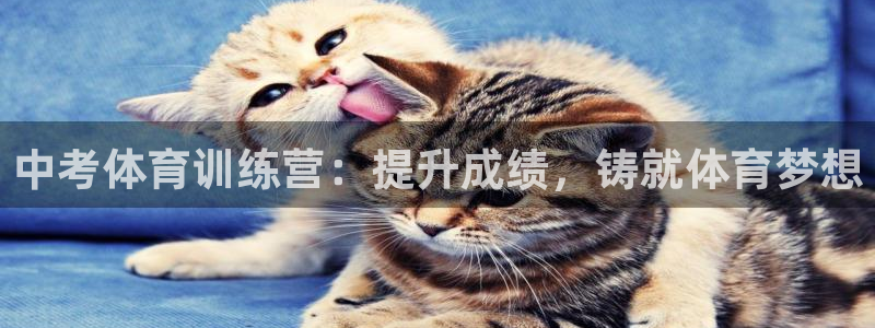 极悦平台注册申请流程详解：中考体育训练营：提升成绩，