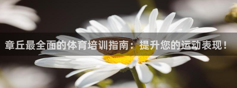 极悦娱乐最新版本更新内容介绍：章丘最全面的体育培训指