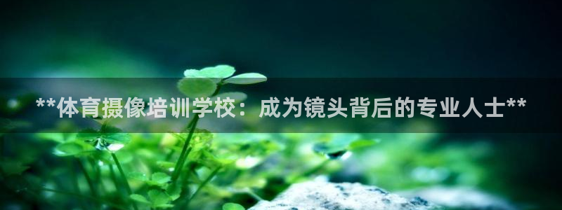 极悦娱乐的最新版本更新内容：**体育摄像培训学校：成